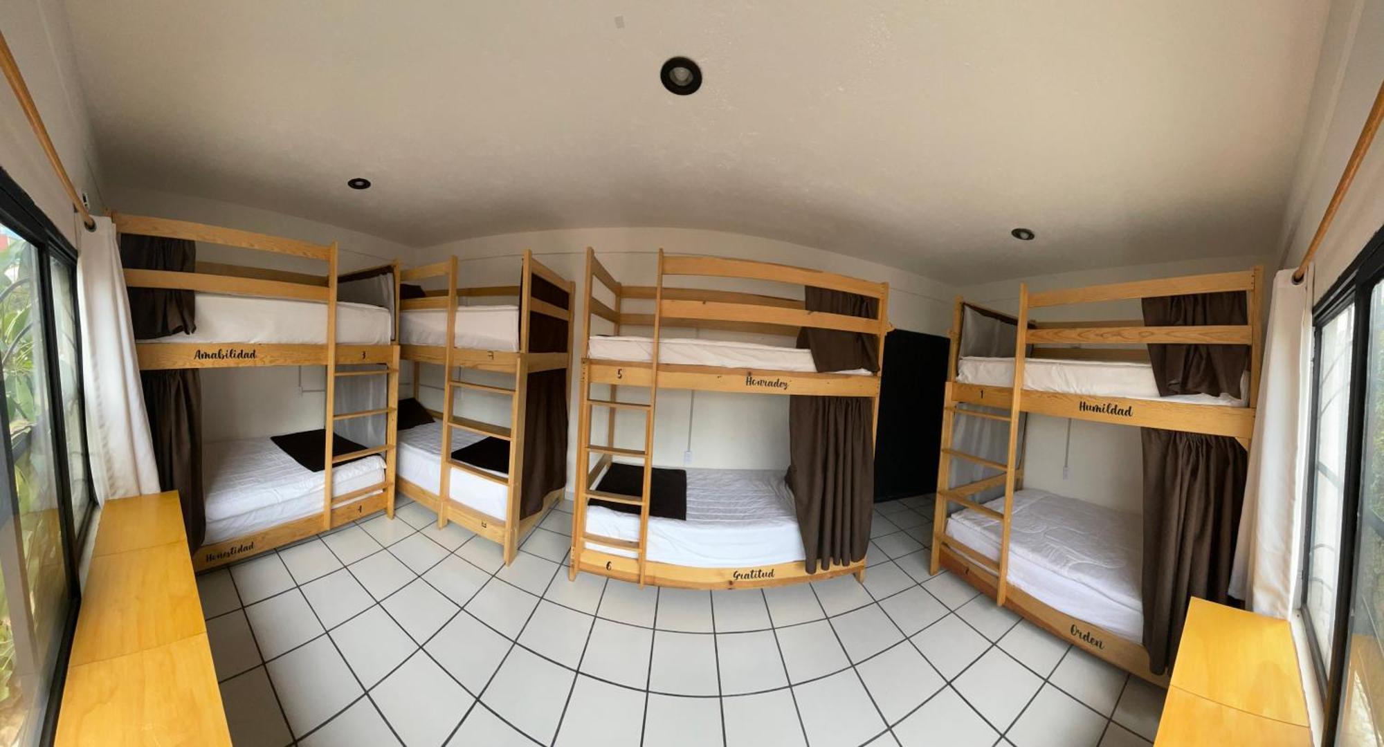 Hostal Roma Condesa Μεξικό Εξωτερικό φωτογραφία