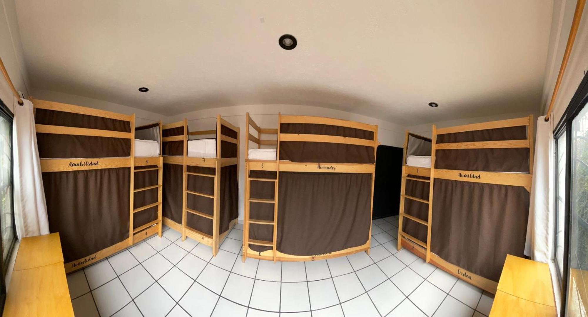 Hostal Roma Condesa Μεξικό Εξωτερικό φωτογραφία
